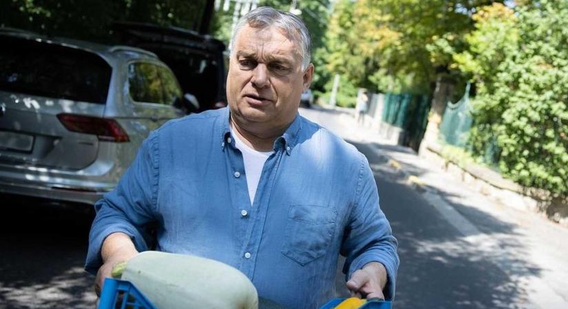 Nézze meg Orbán tökét