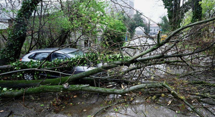 Viharos, orkánerejű szél miatt riasztanak a meteorológusok egyes járásokban