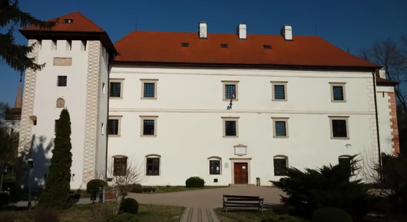 MNM Vay Ádám Muzeális Gyűjteménye, Vaja