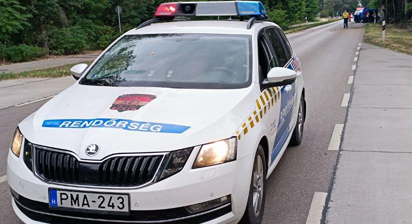 Kiszökött kutya okozott durva balesetet Soltvadkertnél, az autó az úttestre zuhant  fotók, videó