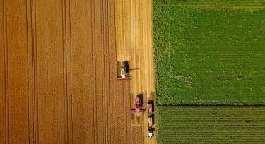 Írországban bíznak a szántóföldi gazdálkodás jövőjében