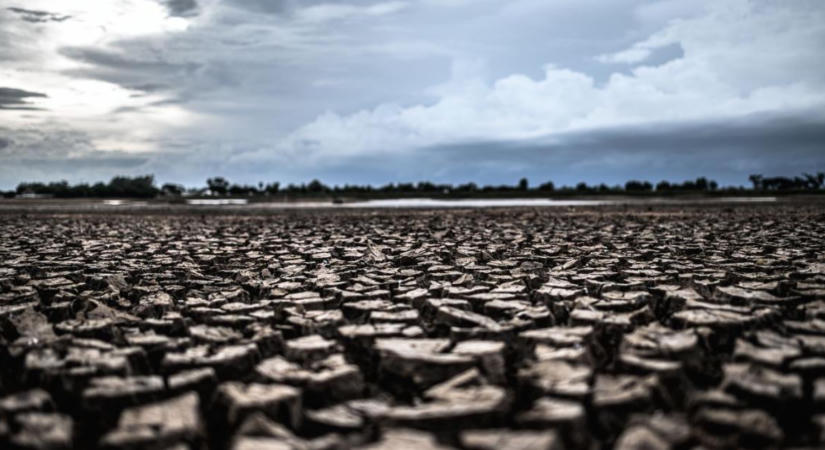 Agrárjog gazdáknak – Kárenyhítési juttatás és haszonbérfizetési kedvezmény az aszálykárra tekintettel
