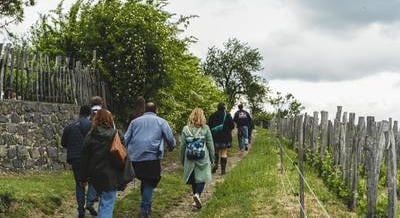 15 őszi gasztroprogram a Balaton környékén