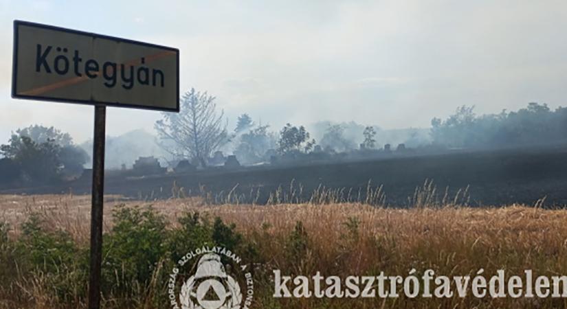 Bozóttűzből lett komoly veszély: házakat fenyegettek a lángok