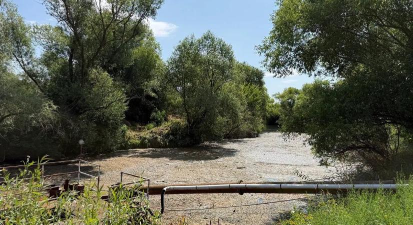Megkezdik a szennyező anyag eltávolítását a Fekete-Körösről