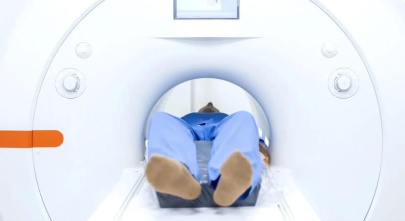 Kutatók éjszakája Somogyban: szívdiagnosztika és tudományos programok