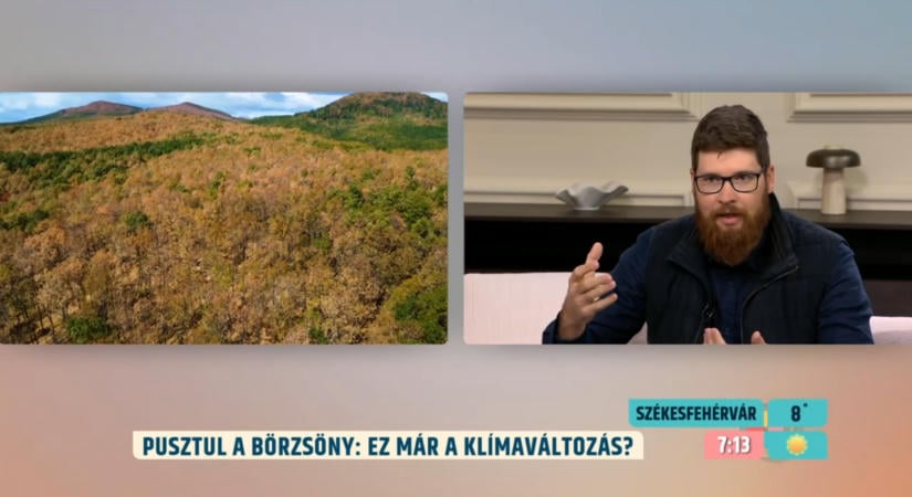 „A szemünk előtt hal meg a Börzsöny egy része?” – soha nem látott pusztulás jelent meg az erdőkben