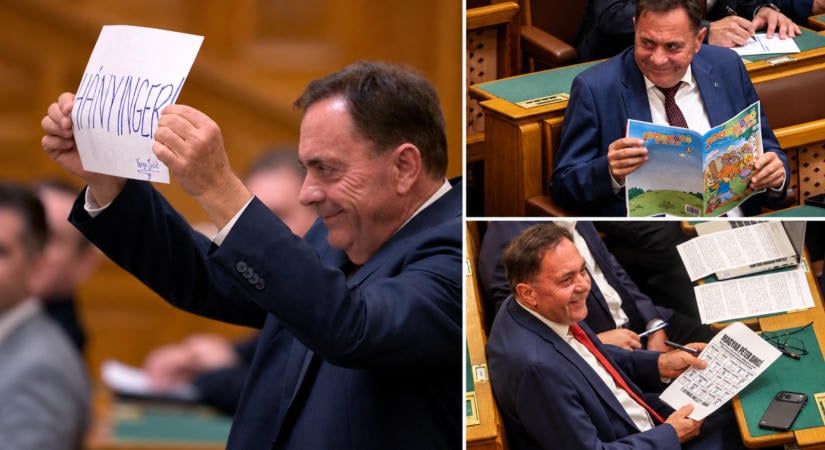 Bingó - Szénási Sándor jegyzete