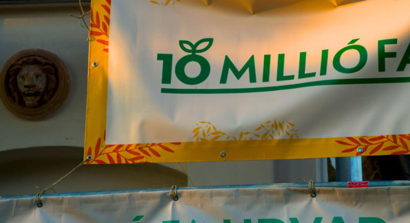 Bicikliút melletti fasor lesz a 10 millió Fa fellépéséből az Ördögkatlan Fesztiválon