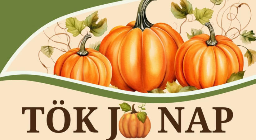 Tök jó nap 2026 Fonyód