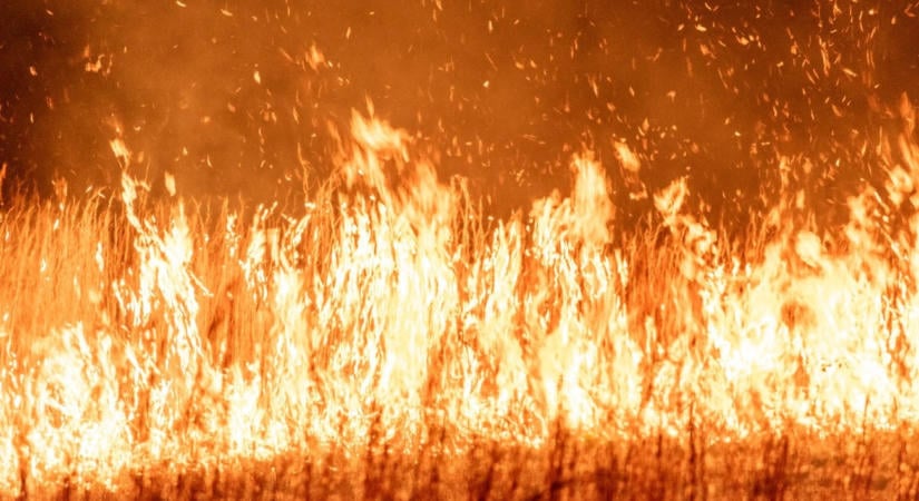 Emberölés történt Szentendrén, egy leégett házban bukkantak a holttestre