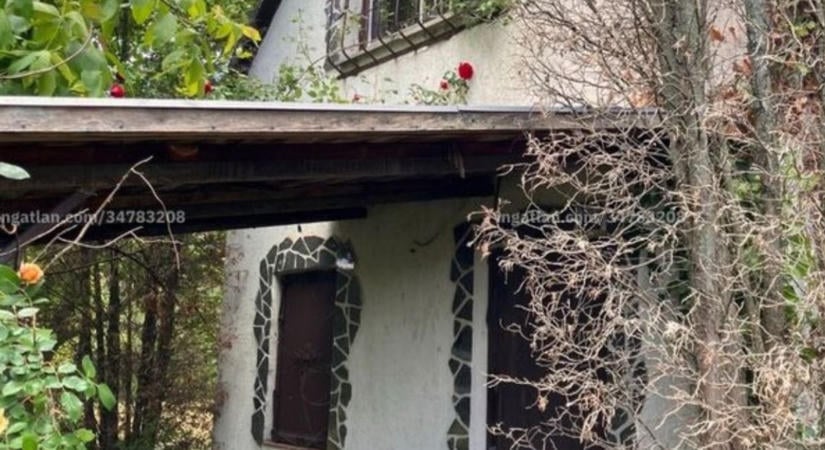 Eladó egy volt vadászlak – mesebeli kuckó a természet rejtekén, ahol csupa zöld a szomszéd (képek)