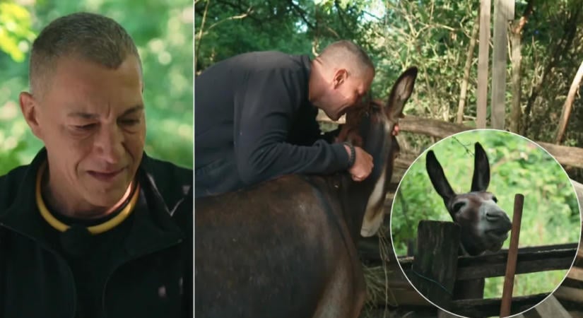 Farm VIP: Németh Kristóf az édesapját látja a szamárban