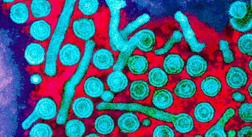 Epigenetikus génszerkesztés