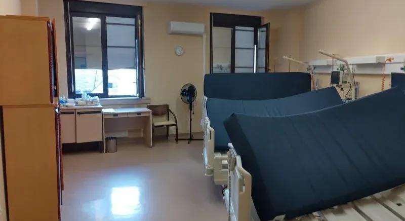 Ágyi poloska miatt át kellett helyezni a veszprémi kórház egy szülészeti részlegét