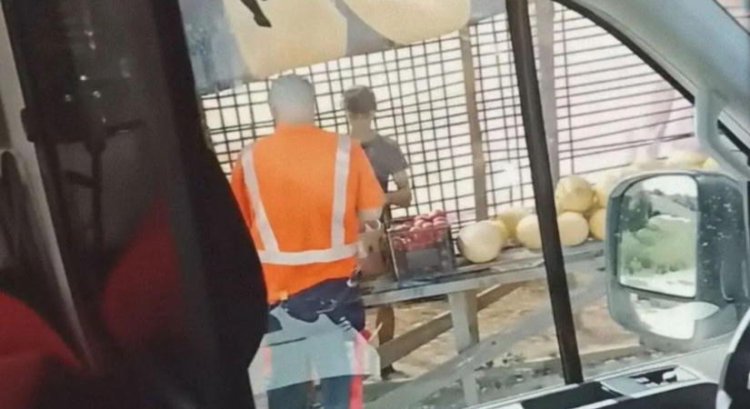 Beteg kisgyermeket szállított a mentős, amikor megállt dinnyét vásárolni az út szélén – hírmix