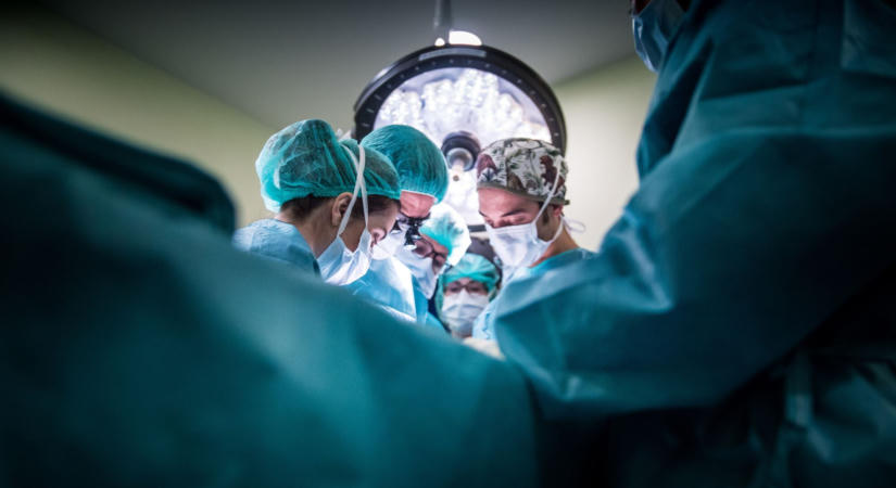 Saját máját adta hatéves fiának az apa: ritka műtét mentette meg a gyermek életét
