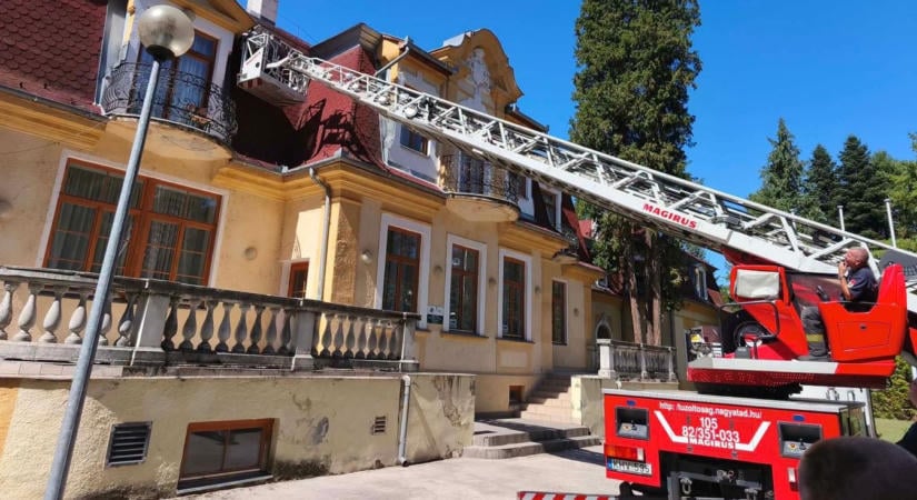 Darazsak támadták meg a barcsi kollégiumot, azonnal közbe kellett avatkozni