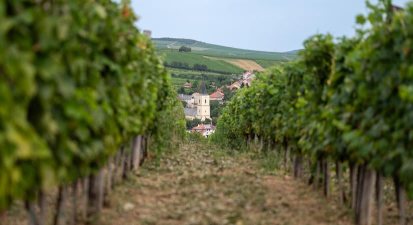 Vasúti híddal kötik össze a Tokaj-kör szakaszait: folytatódik a borvidék kerékpáros fejlesztése
