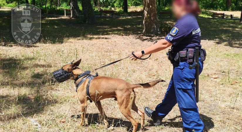 Kábítószeres férfit fogtak a kutyás rendőrök a Népligetben, érdekes magyarázattal állt elő – fotók
