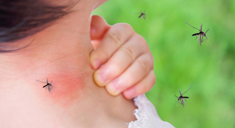 Tudja, hogyan ismerheti fel a nyugat-nílusi lázat? Ezekre a tünetekre kell figyelni