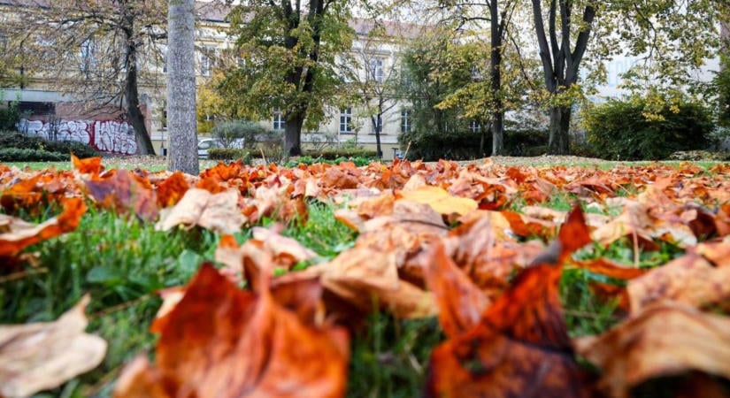 Hűvös reggellel indul a kedd a Jászkunságban de napközben azért kisüt majd a nap