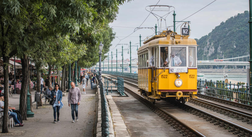 Nem az a baj, hogy kevés a fa – csapdába sétál Budapest a Főkert szerint