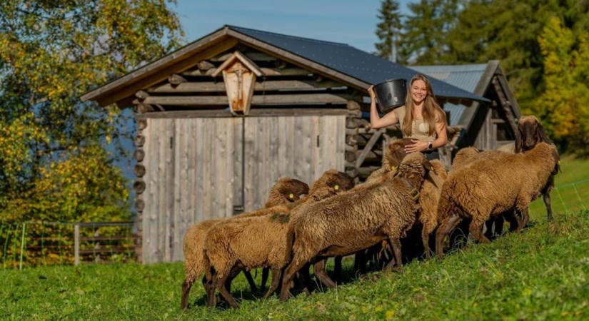 Ápolónőből elnök: megérkezett az Insta-generáció az állattenyésztés élére?
