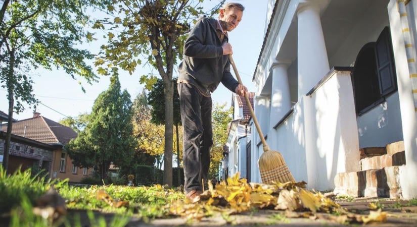 Lehullottak a falevelek, de kinek kell letakarítania a járdát? A debreceni ügyvéd nem kertelt!
