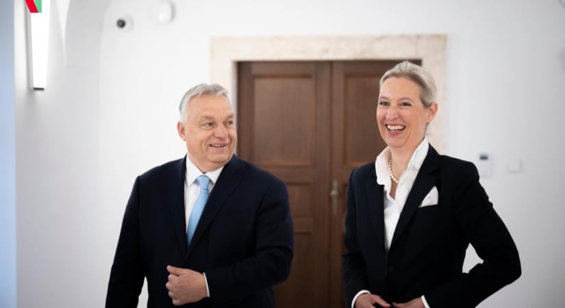 Sutyerákok forradalma
