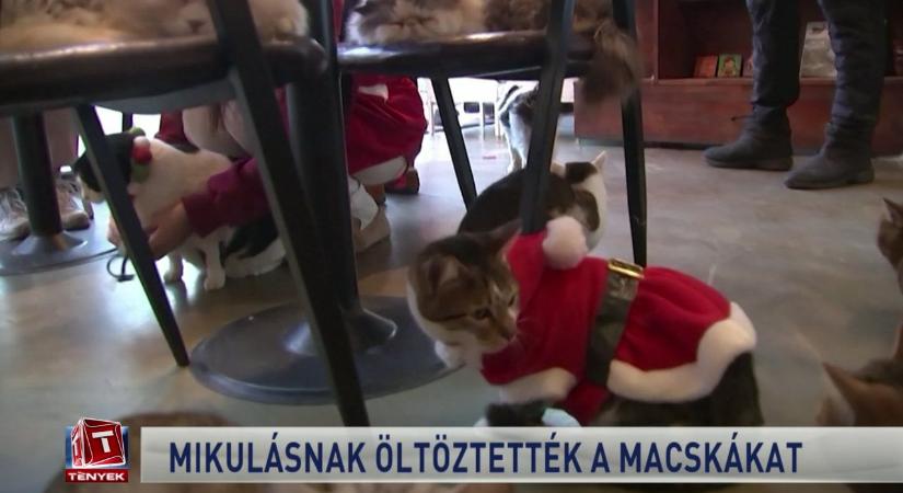 Tények teljes adás, 2020. december 15., kedd
