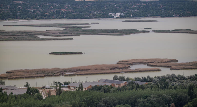 Szolgálaton kívüli rendőr mentette meg a Velencei-tó iszapjában elsüllyedt nőt
