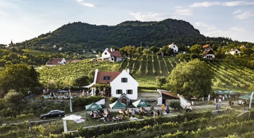 BEST OF BALATON 2026: Új ajánlatokkal bővült a kedvencek listája
