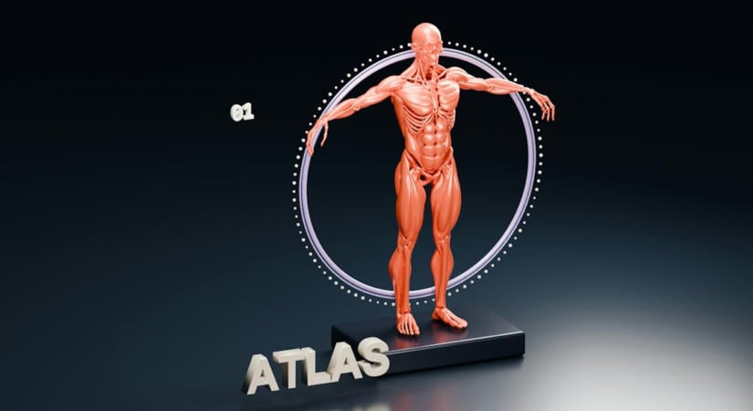 AI-vezérelt Atlas robotok gyári munkára állnak, emberi felügyelettel tanulnak