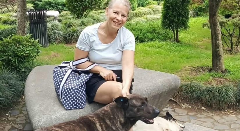 Százezrekbe kerül a kutyamentő akció: Grúziából akarja hazahozni Ildikó a kóbor ebet