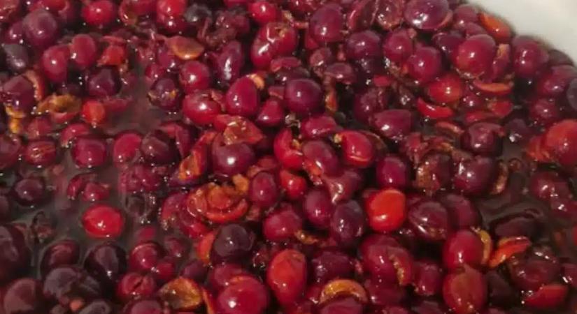 Zseniális cseresznyemagozó trükk terjed a neten: egy filléredbe sem kerül, és másodpercek alatt kész vagy