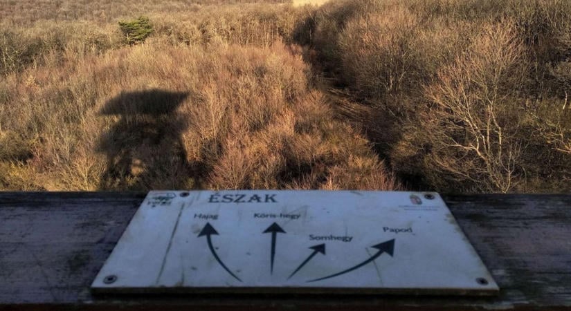 Merre tovább? Újabb bakonyi kilátók sorsa pecsételődött meg végleg (képek)
