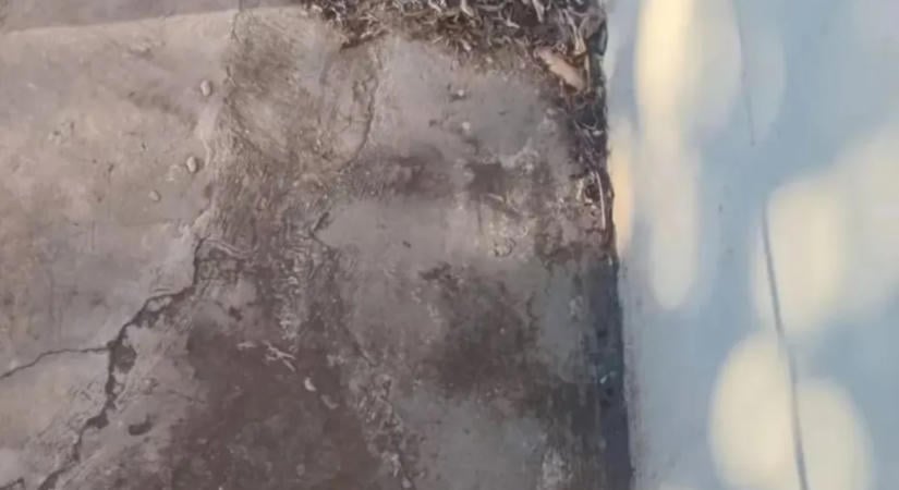 Különös alakzat jelent meg a járdán, Jézus arcát vélték felfedezni rajta