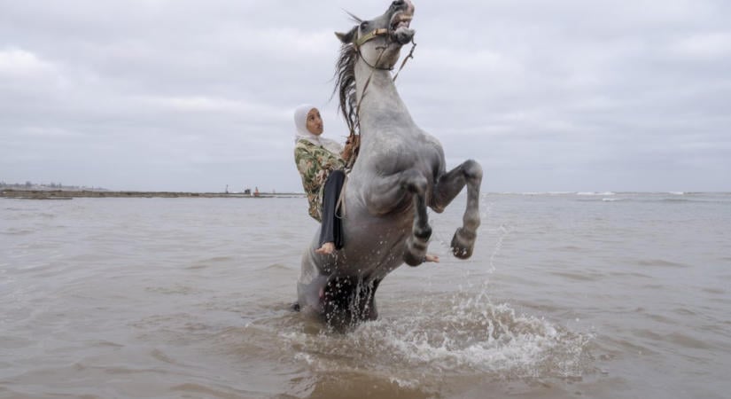 A World Press Photo aláhúzza: a fényképezés az igazság kimondásáról és a bizalom megőrzéséről is szól