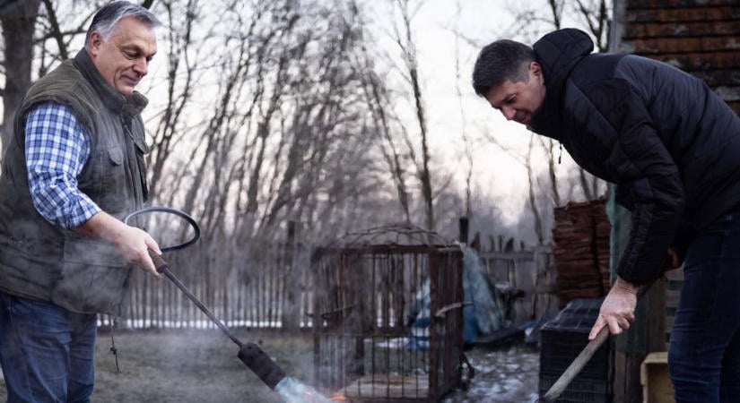 A kolbászfesztivál diszkrét bája