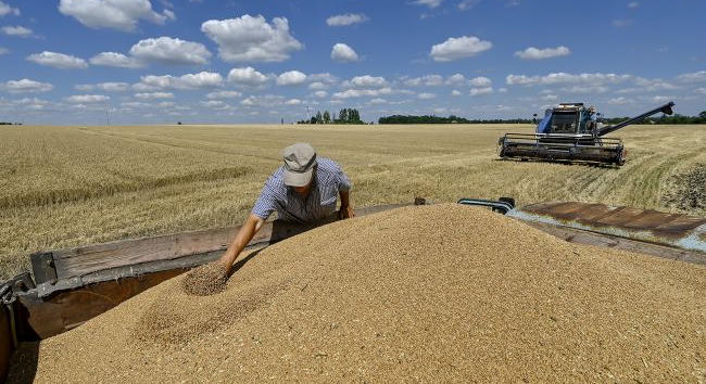 Ukrajna akár 9 millió tonna gabona exportjától és akár 2,8 milliárd dolláros bevételtől is eleshet a tengeri blokád miatt