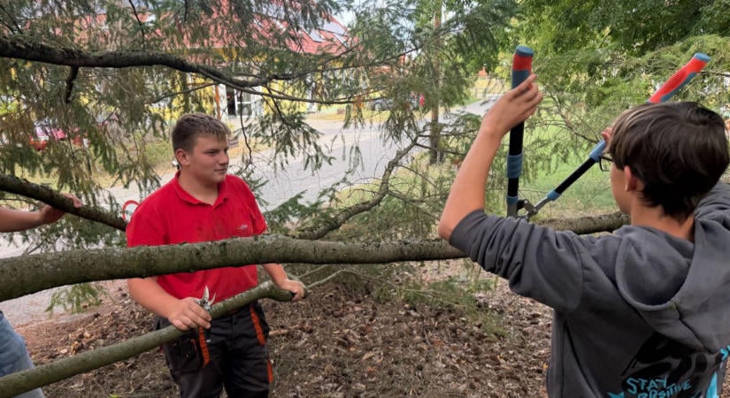 Három diáknak nem is kellett volna dolgoznia, mégis ott maradtak: új közösségi hely készül a Bedő kertjében  fotók, videó