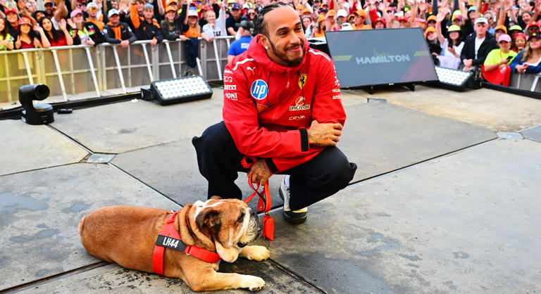 Lewis Hamilton: Minden nap azt kívánom, bárcsak velem lenne