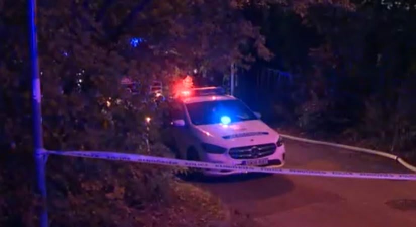 Saját édesanyját verte meg brutálisan egy férfi Budakeszin, majd a nő gondosóráján hívott mentőt
