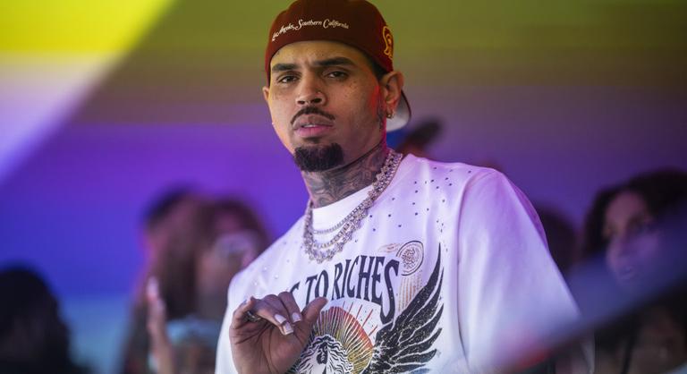 Chris Brownnak 13 millió dollárt kell fizetnie, miután a kutyája brutálisan összemarta a házvezetőnőjét