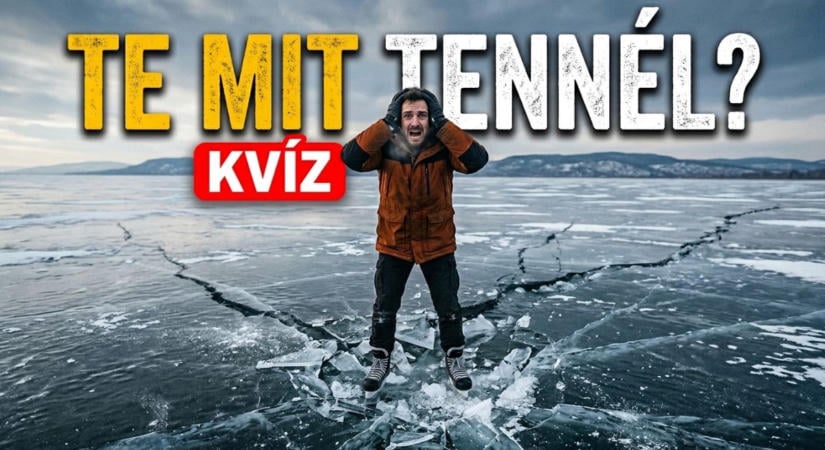Kvíz: Mit tennél, ha beszakad alattad a jég vagy nyaralás alatt jön egy cápa? Túlélnéd ezeket a helyzeteket?