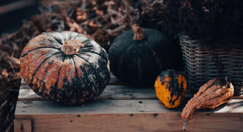 Mérgező tököket hozhat a Halloween