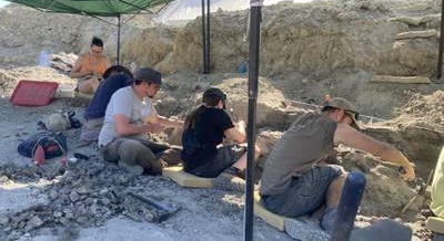 Ritka dinoszauruszra bukkantak a Bakonyban: a most talált lelet átírhatja Európa őslénytani történetét