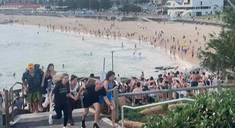 Pénzért vásárolja vissza a fegyvereket egy ausztrál állam a Bondi Beach-en történt terrortámadás után