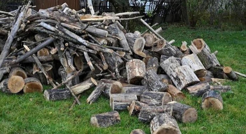 Szociális tűzifa Kapuváron: Íme minden információ a pályázathoz